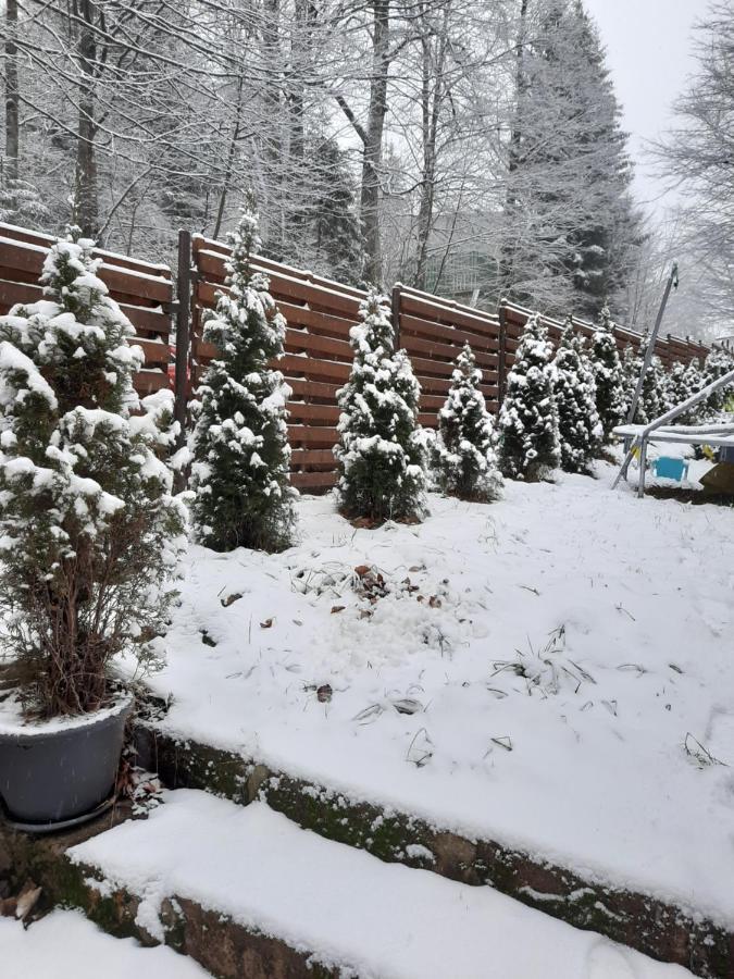 Villa Quad Poiana Brasov Luaran gambar