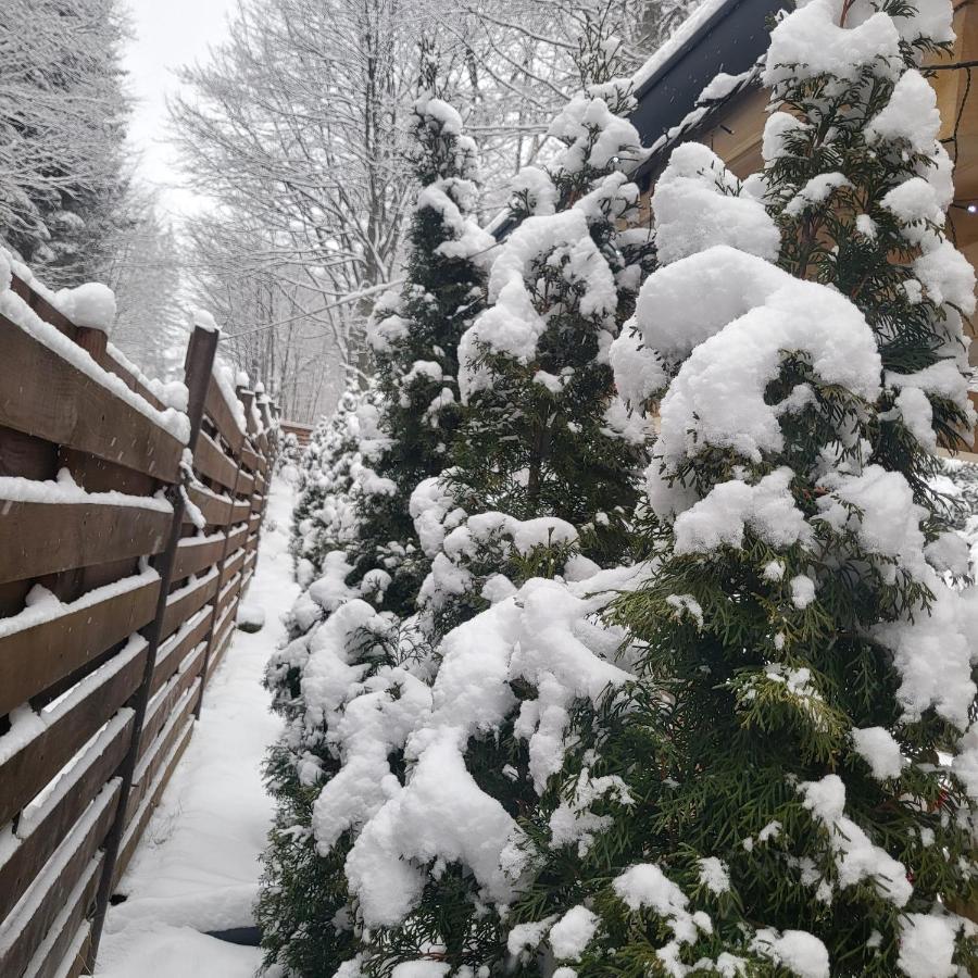 Villa Quad Poiana Brasov Luaran gambar