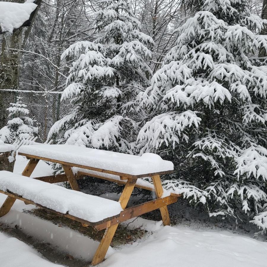 Villa Quad Poiana Brasov Luaran gambar