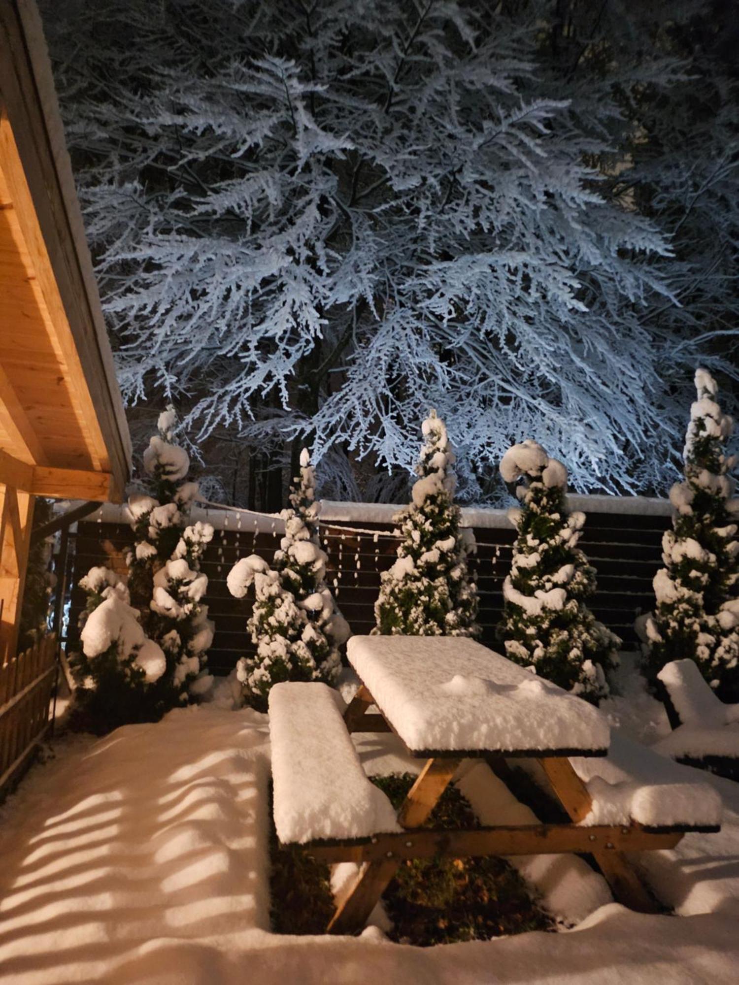 Villa Quad Poiana Brasov Luaran gambar